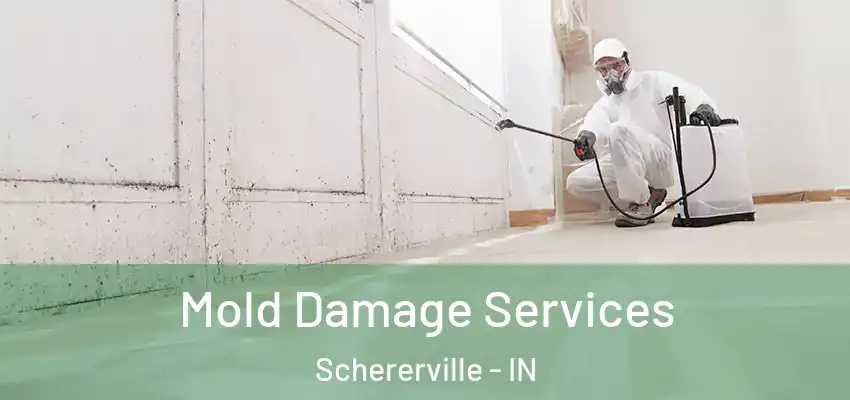  Mold Damage Services Schererville - IN