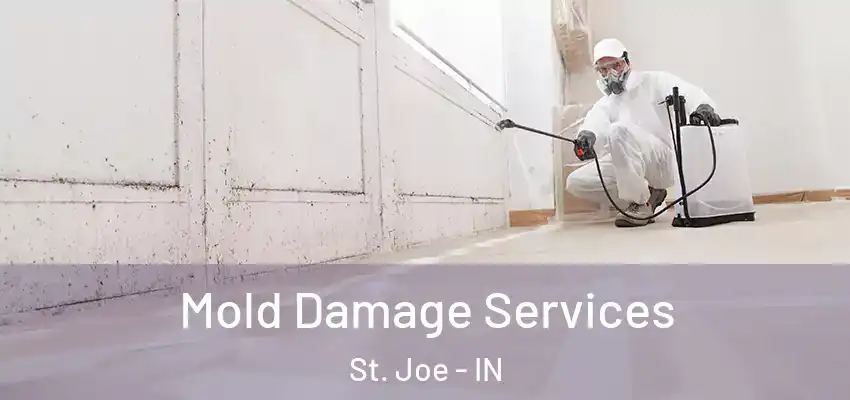  Mold Damage Services St. Joe - IN
