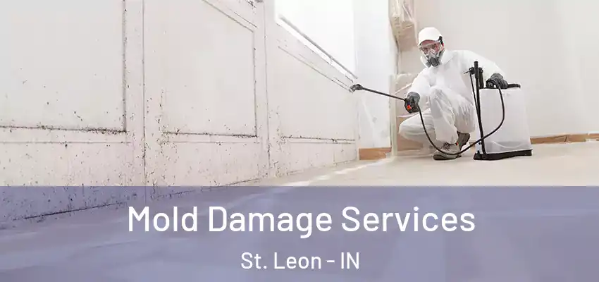  Mold Damage Services St. Leon - IN