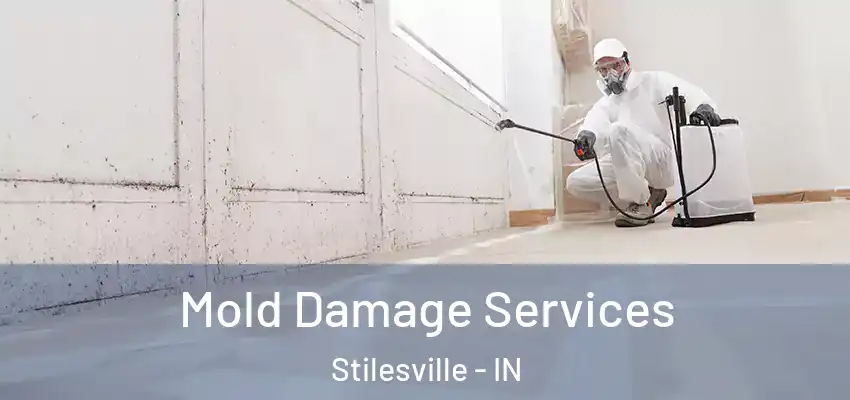  Mold Damage Services Stilesville - IN