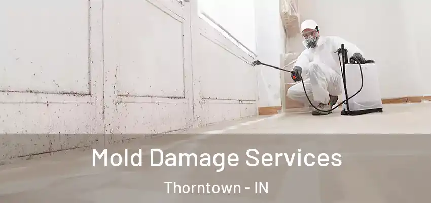 Mold Damage Services Thorntown - IN