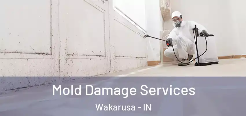  Mold Damage Services Wakarusa - IN
