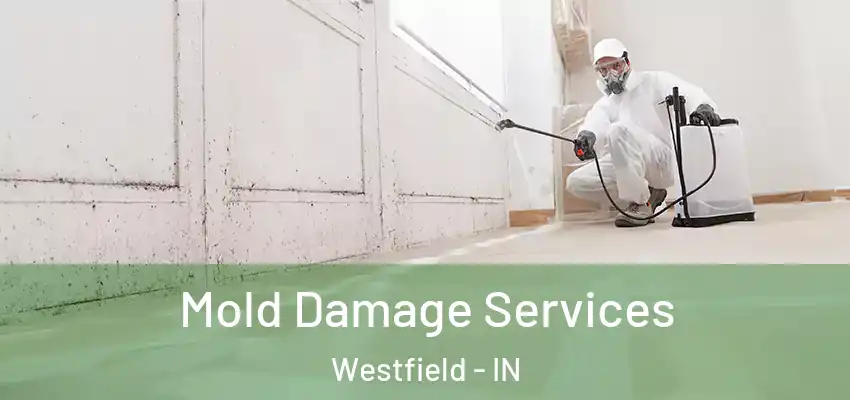 Mold Damage Services Westfield - IN
