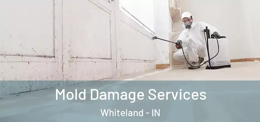  Mold Damage Services Whiteland - IN