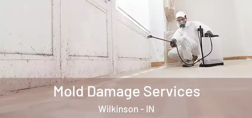  Mold Damage Services Wilkinson - IN