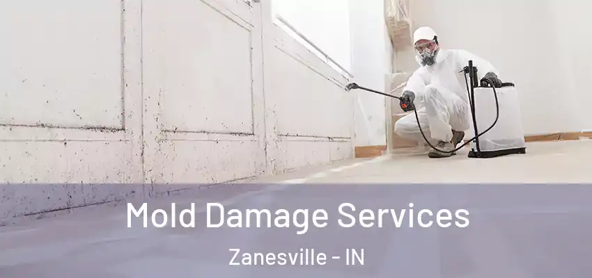  Mold Damage Services Zanesville - IN