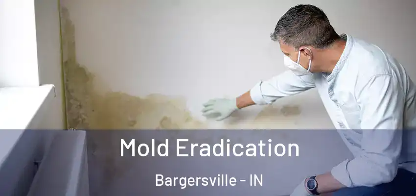  Mold Eradication Bargersville - IN