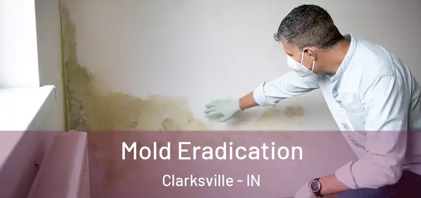  Mold Eradication Clarksville - IN