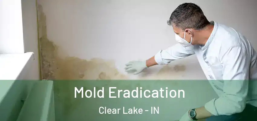  Mold Eradication Clear Lake - IN