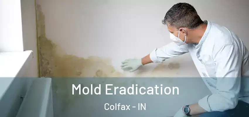 Mold Eradication Colfax - IN
