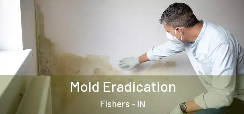  Mold Eradication Fishers - IN