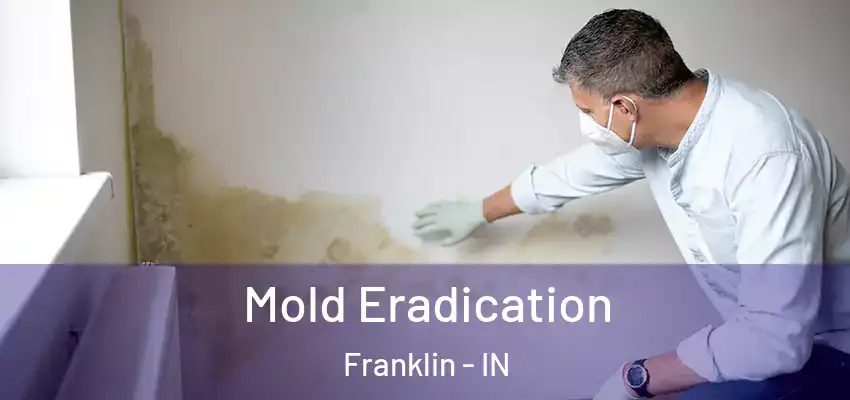  Mold Eradication Franklin - IN