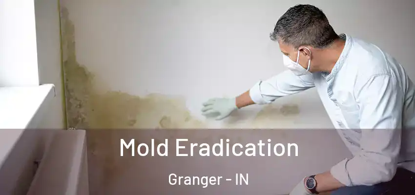  Mold Eradication Granger - IN