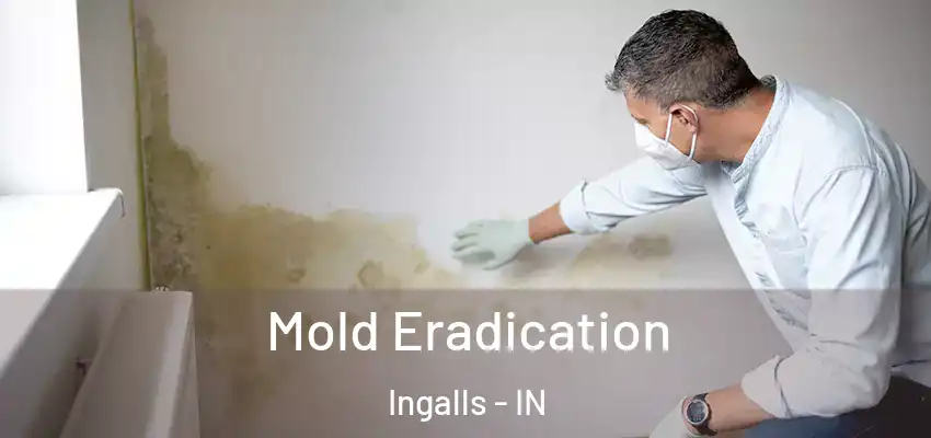  Mold Eradication Ingalls - IN