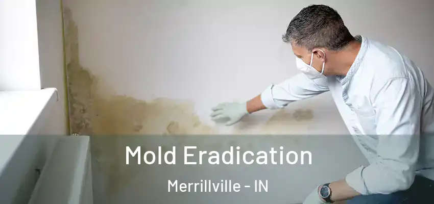  Mold Eradication Merrillville - IN