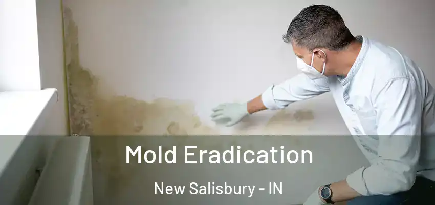  Mold Eradication New Salisbury - IN