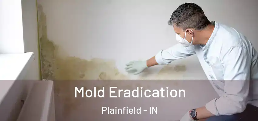  Mold Eradication Plainfield - IN