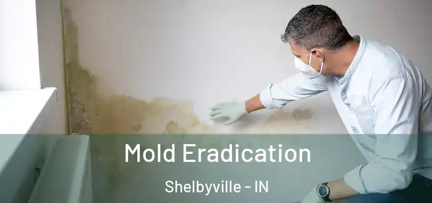  Mold Eradication Shelbyville - IN