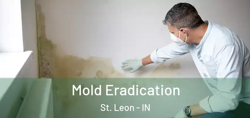  Mold Eradication St. Leon - IN