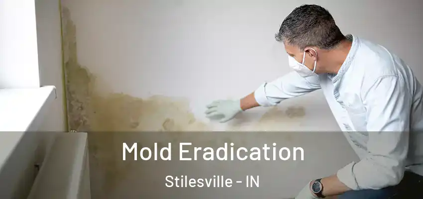 Mold Eradication Stilesville - IN