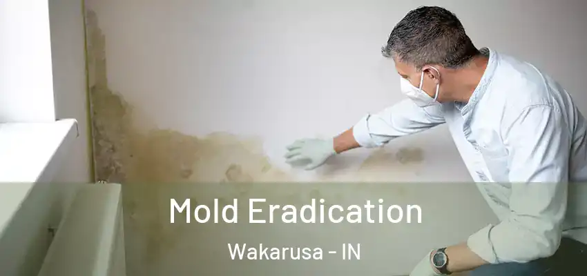  Mold Eradication Wakarusa - IN