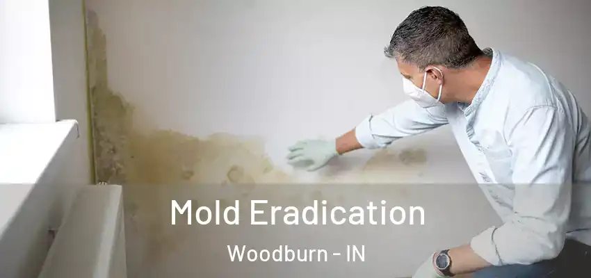  Mold Eradication Woodburn - IN