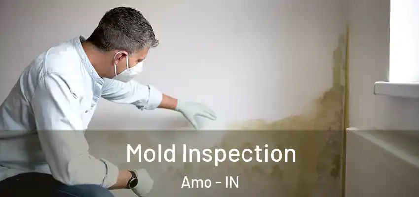  Mold Inspection Amo - IN
