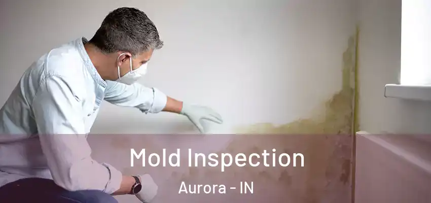  Mold Inspection Aurora - IN
