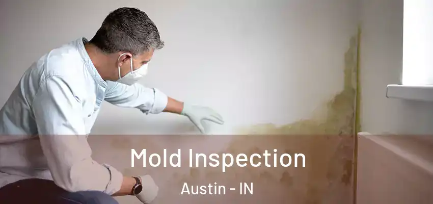  Mold Inspection Austin - IN