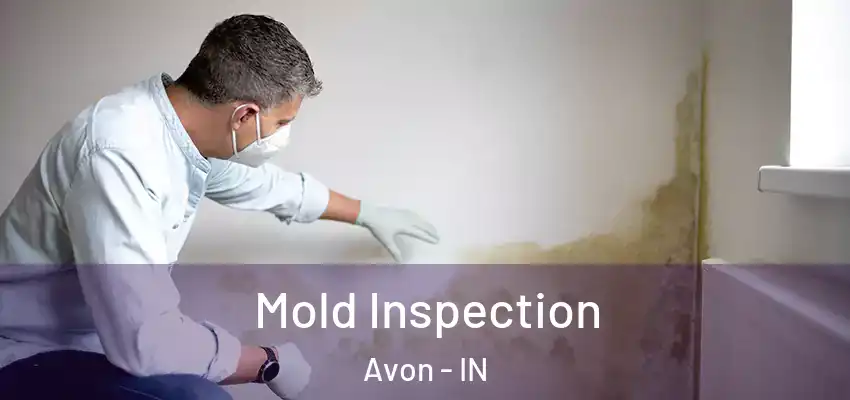  Mold Inspection Avon - IN