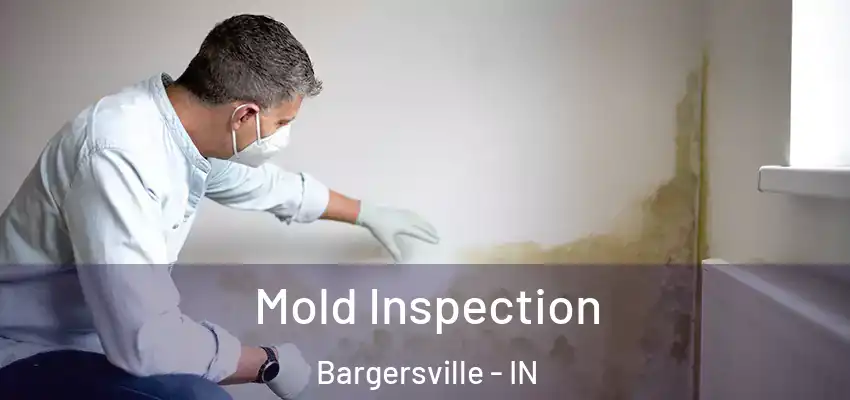  Mold Inspection Bargersville - IN