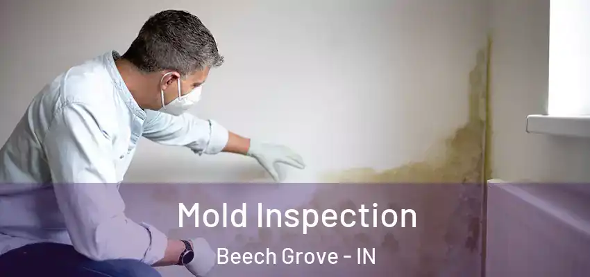  Mold Inspection Beech Grove - IN