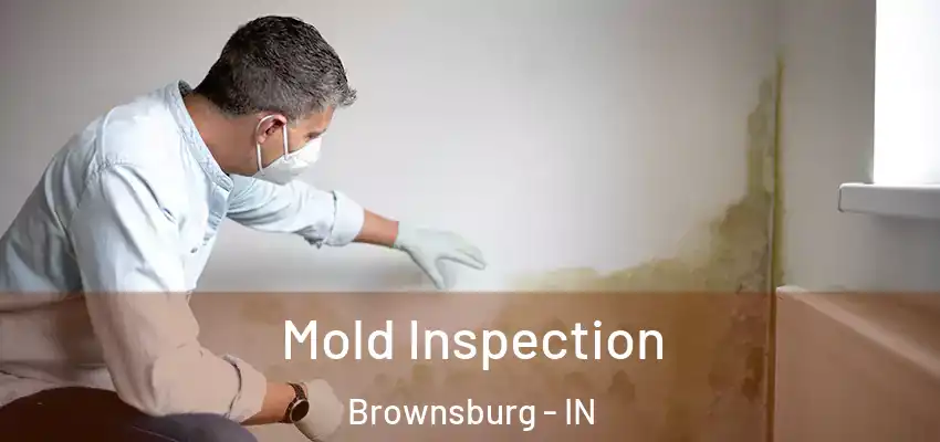  Mold Inspection Brownsburg - IN