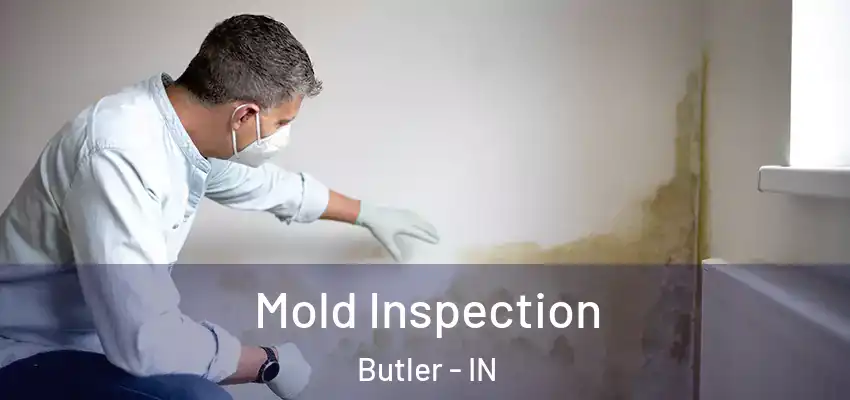  Mold Inspection Butler - IN