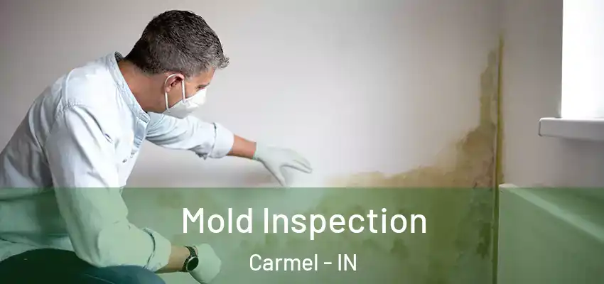  Mold Inspection Carmel - IN