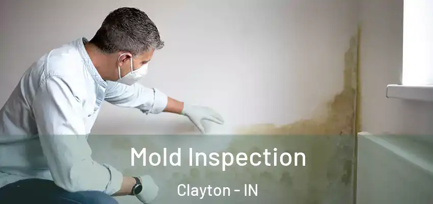  Mold Inspection Clayton - IN