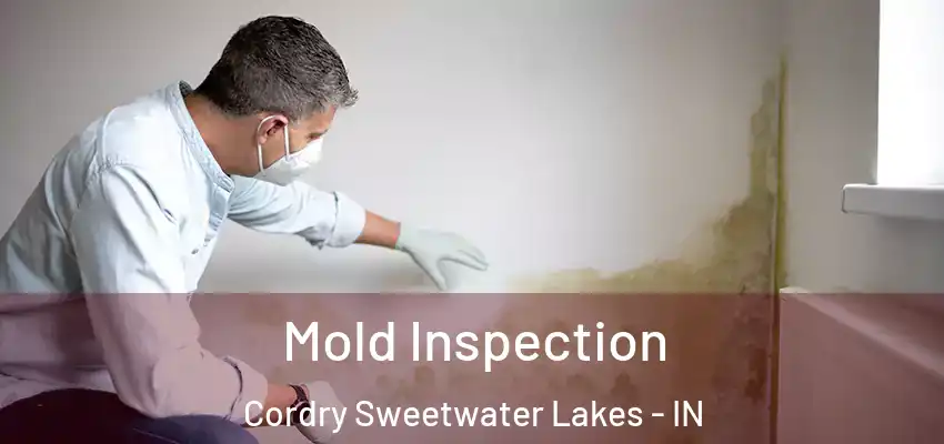 Mold Inspection Cordry Sweetwater Lakes - IN