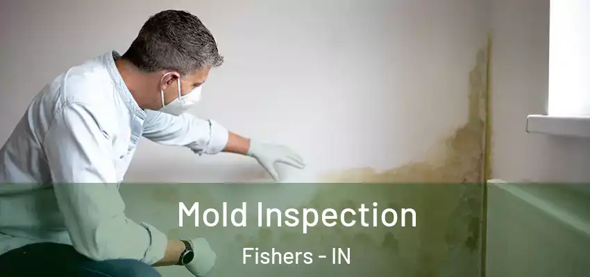  Mold Inspection Fishers - IN