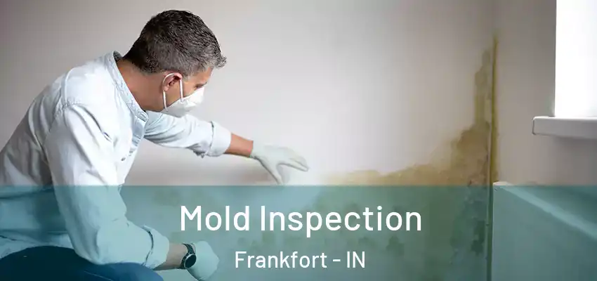  Mold Inspection Frankfort - IN