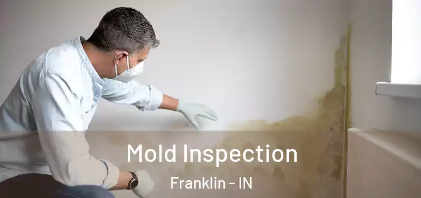 Mold Inspection Franklin - IN
