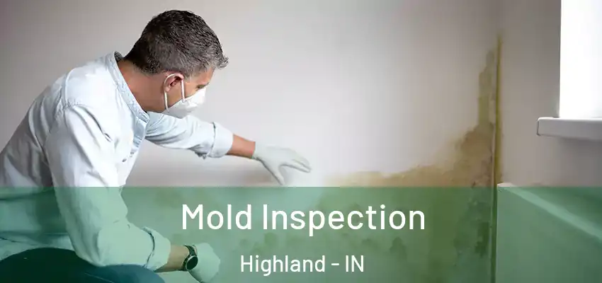  Mold Inspection Highland - IN