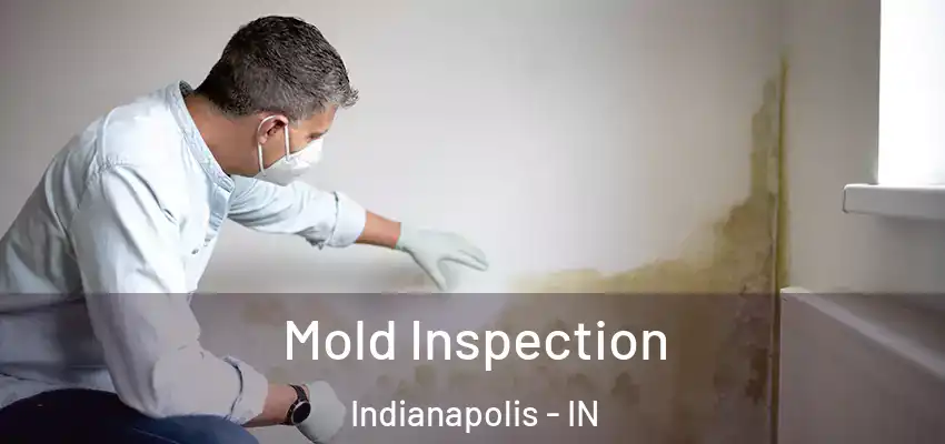  Mold Inspection Indianapolis - IN