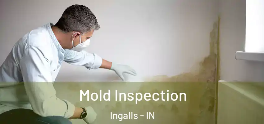  Mold Inspection Ingalls - IN