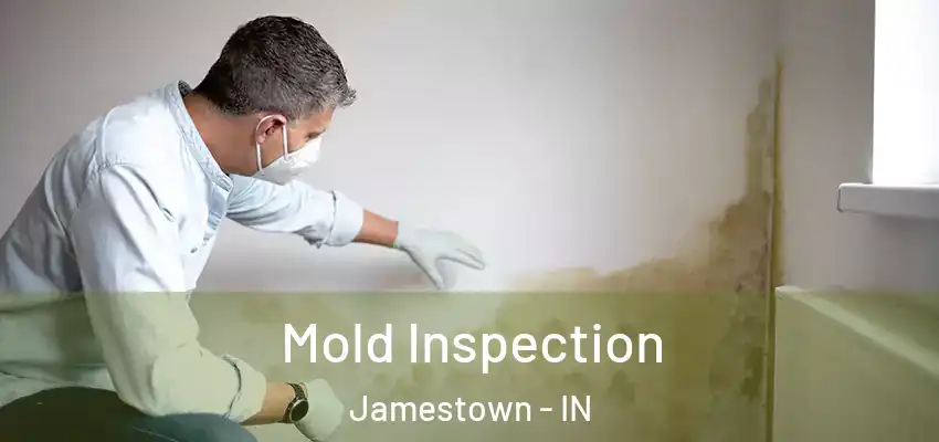  Mold Inspection Jamestown - IN