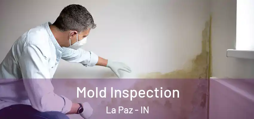  Mold Inspection La Paz - IN