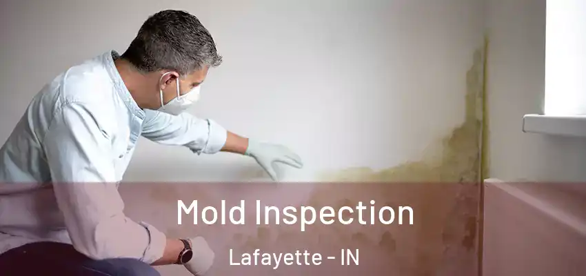  Mold Inspection Lafayette - IN