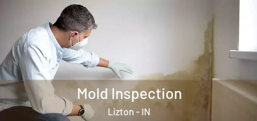  Mold Inspection Lizton - IN