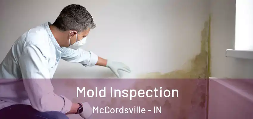 Mold Inspection McCordsville - IN