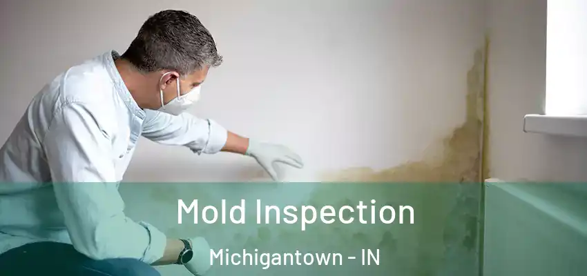  Mold Inspection Michigantown - IN