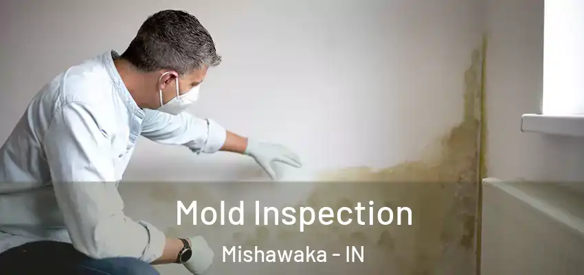  Mold Inspection Mishawaka - IN